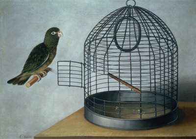 Parrot outside his cage by Cornelis Biltius